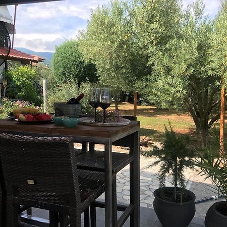 Terra Holiday Homes Asprovalta Esterno foto